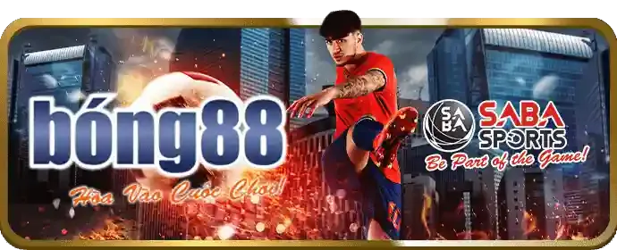 Chương trình VIP qq288 bet